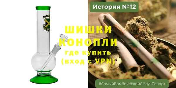 амф Арсеньев