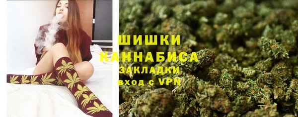 амф Арсеньев