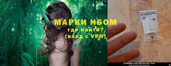 ГАЛЛЮЦИНОГЕННЫЕ ГРИБЫ Армянск