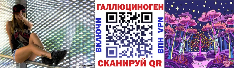 Галлюциногенные грибы MAGIC MUSHROOMS  kraken зеркало  Суздаль 